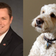 On the left: Brian Harrison. On the right: a labradoodle.
